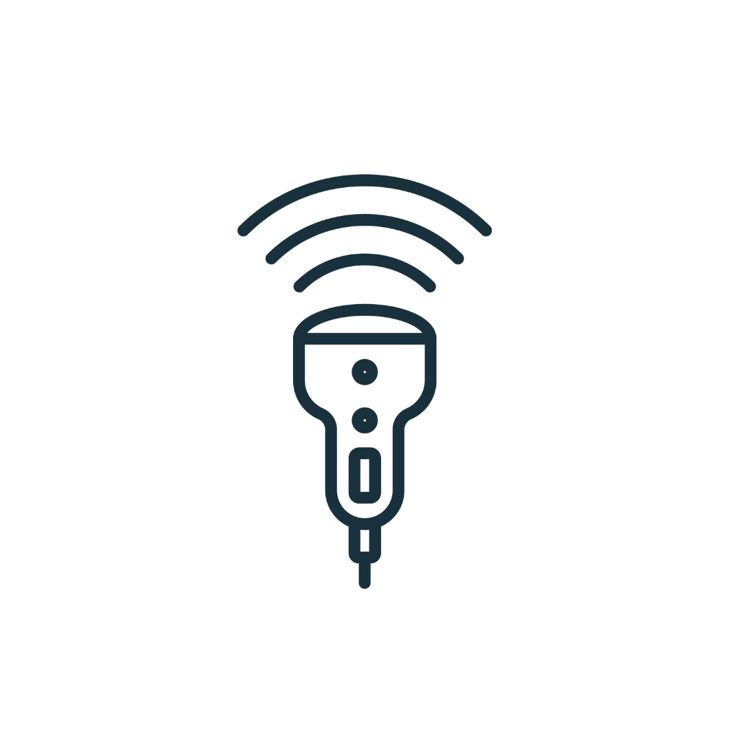 Ultrasound Examination